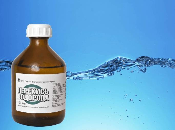 как убрать запах кошачьей мочи с дивана