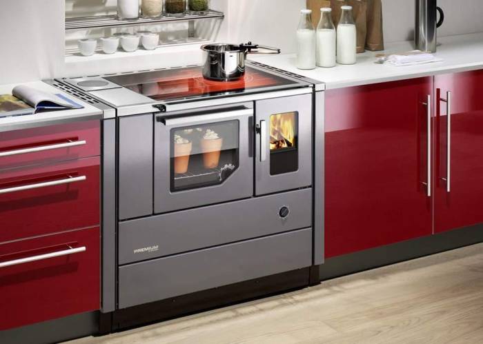 виды электрических плит для кухни