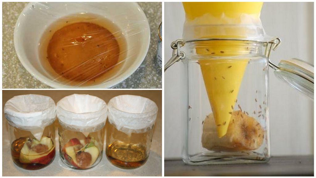 вывести мошек с кухни