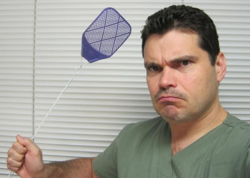 бороться с мошками на кухне