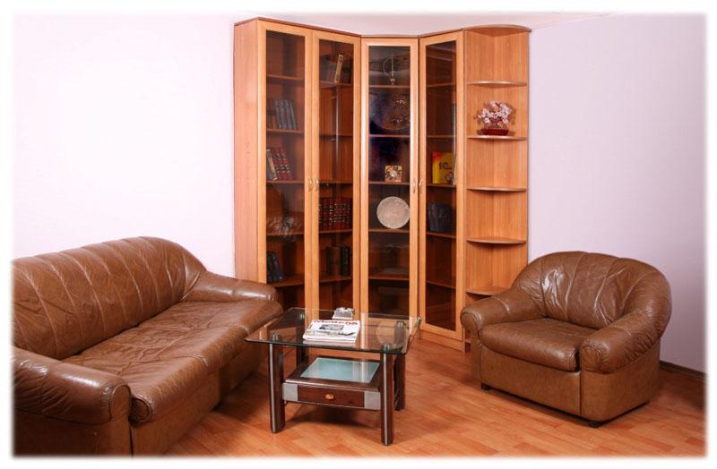 книжный шкаф со стеклянными дверцами (главный ключ)