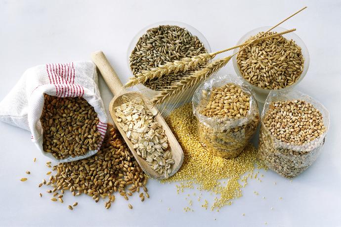 маленькие черные жучки на кухне