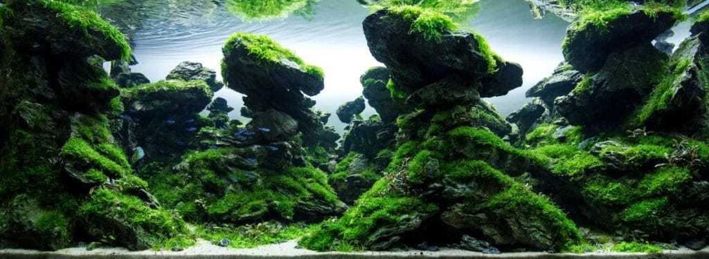 оформление аквариума камнями