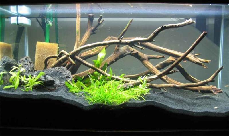 800 оформление аквариума корягами