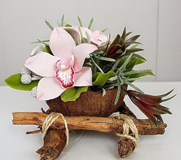 620 Кокосовое кашпо: экзотический продукт на вашем подоконнике | Дизайн ...