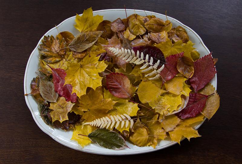 поделки из листьев