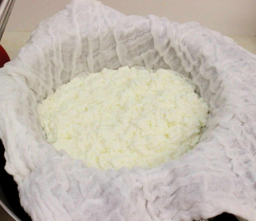 срок годности творога в холодильнике