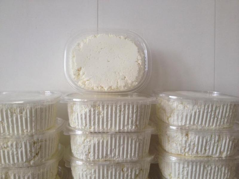 срок годности творога в холодильнике