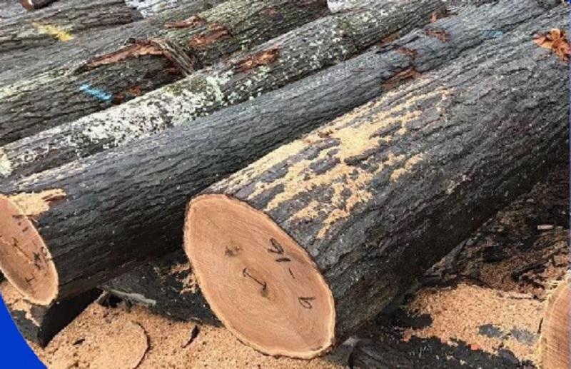 кровать из массива дуба