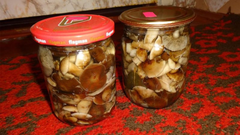 Срок хранения в холодильнике маринованных грибов в банке